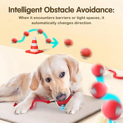 This interactive spherical toy for cats features an automatically rotating tail ball design and isarechargeable electric pet toy