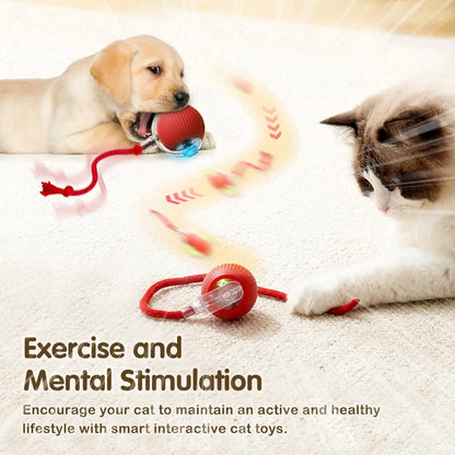 This interactive spherical toy for cats features an automatically rotating tail ball design and isarechargeable electric pet toy