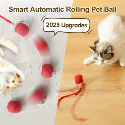 This interactive spherical toy for cats features an automatically rotating tail ball design and isarechargeable electric pet toy