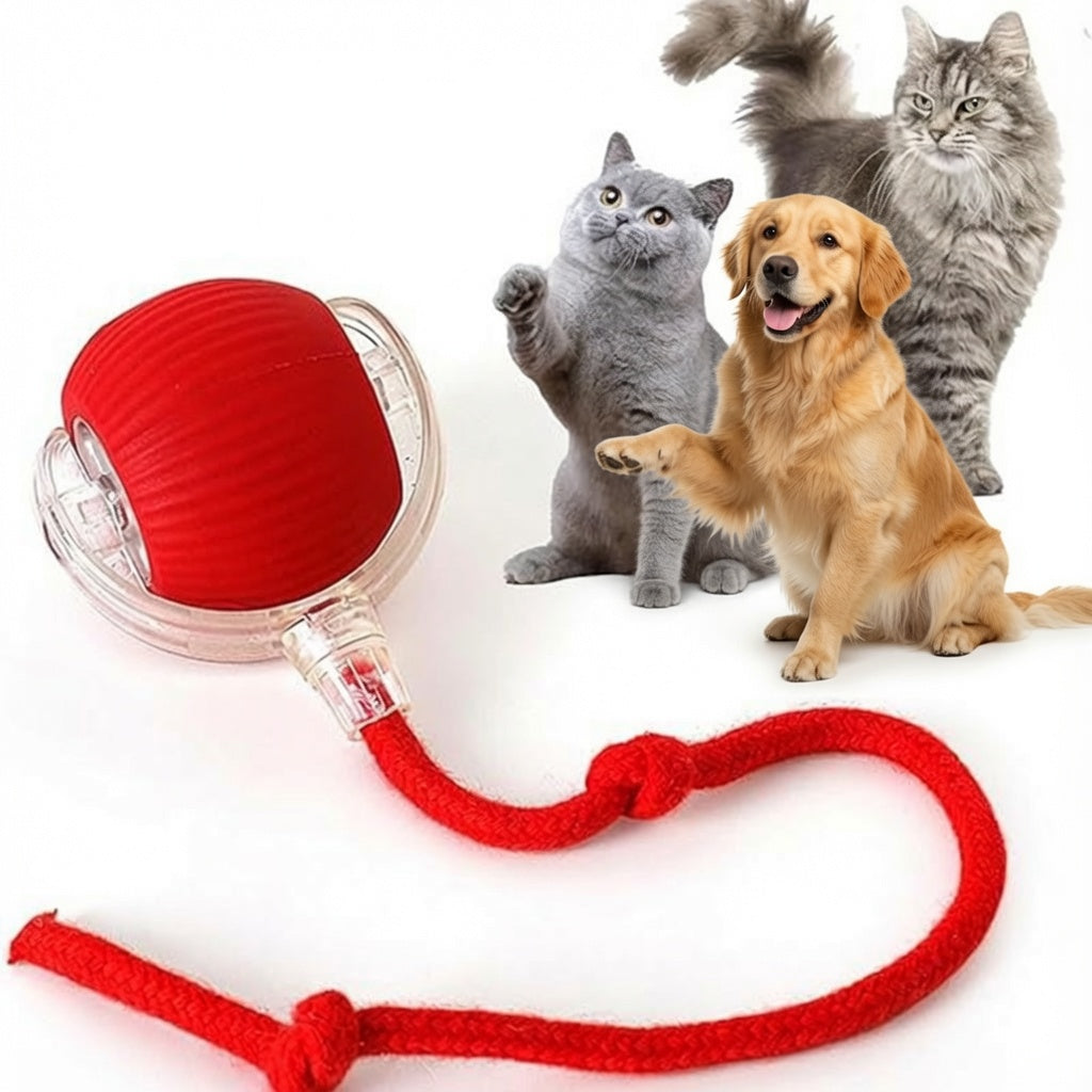 Interactive Ball Toy 🔴