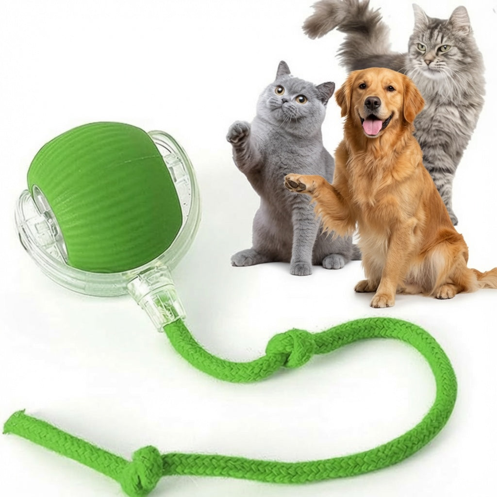 Interactive Ball Toy 🔴
