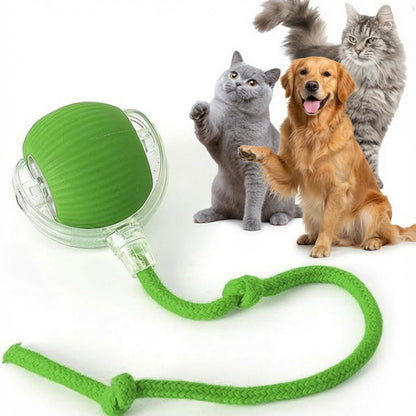 Interactive Ball Toy 🔴